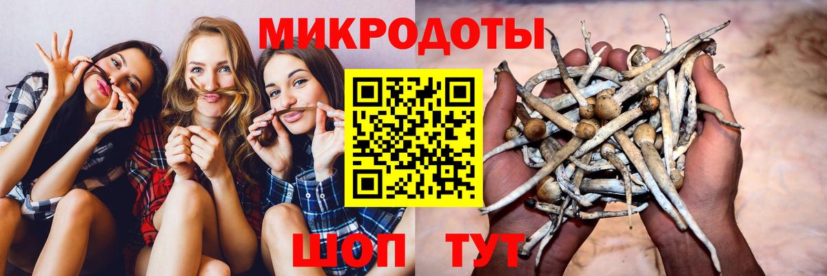 Псилоцибиновые грибы Psilocybe Ликино-Дулёво